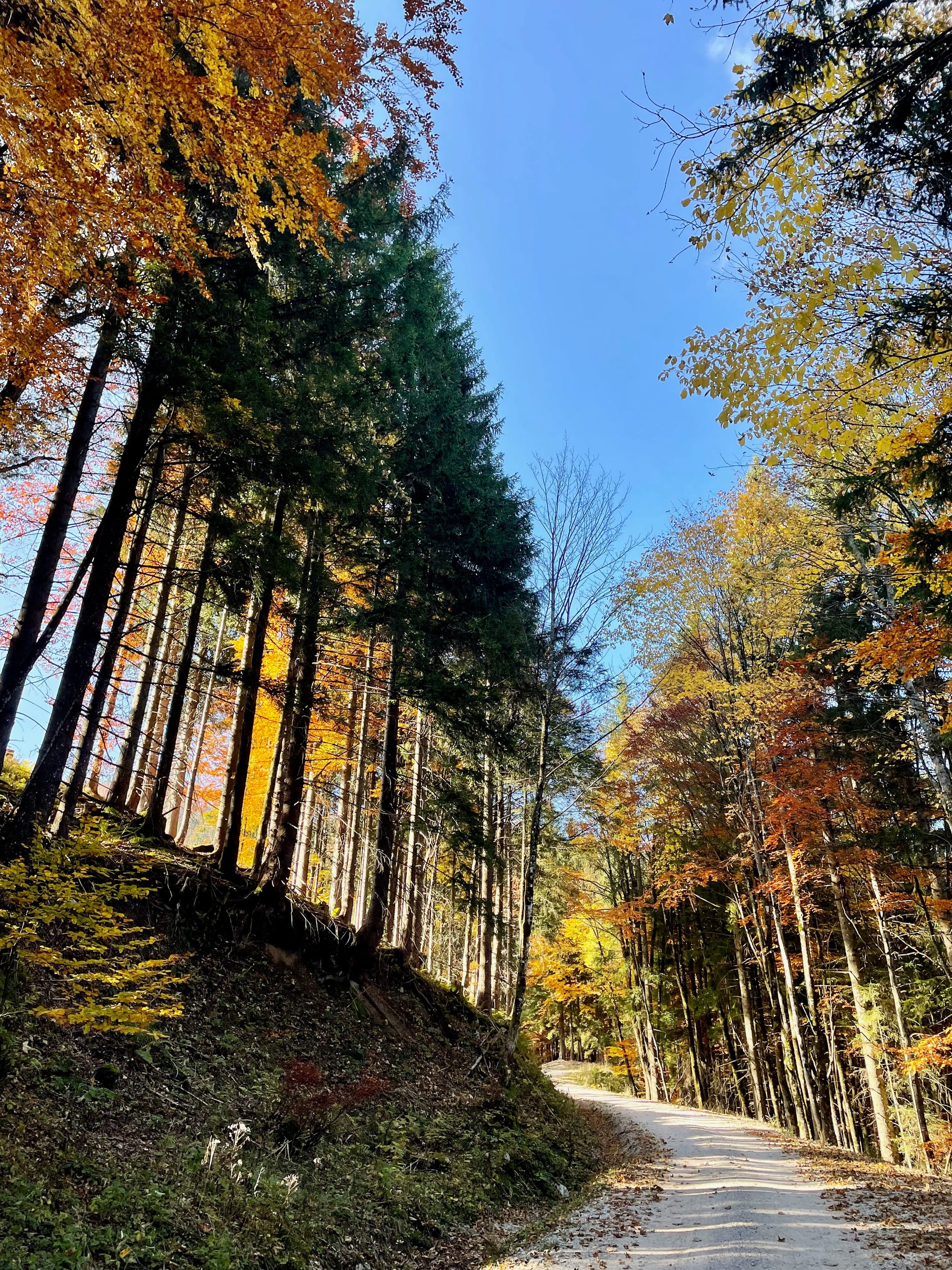 Unerfüllter Kinderwunsch: Wie alles begann