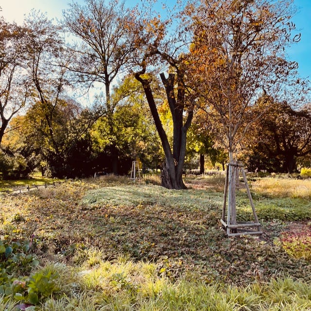 Wochenende in Bildern