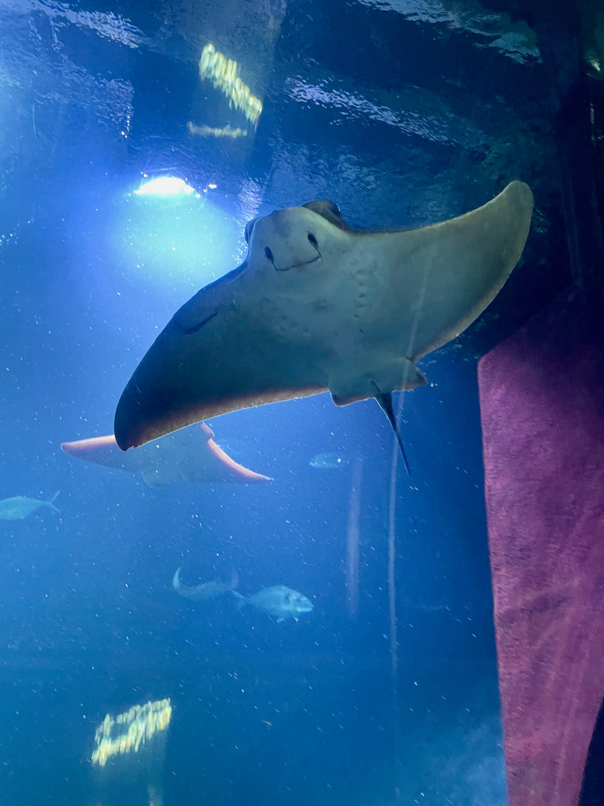 Ausflugtipp in Wien: Haus des Meeres